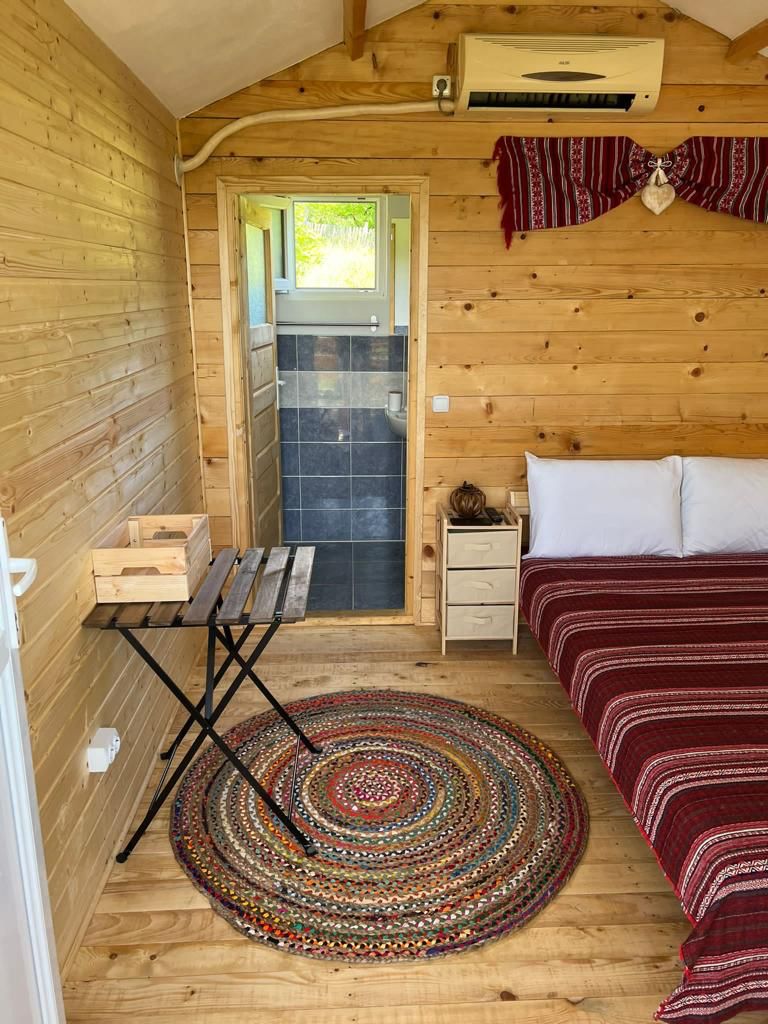 big_whatsapp_image_2022-10-03_at_14.22.17